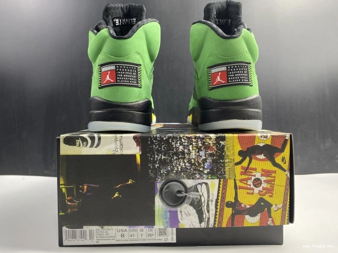 Chep Onekick SE Jordan Air Ducks Oregon 5 CK6631-307 0531